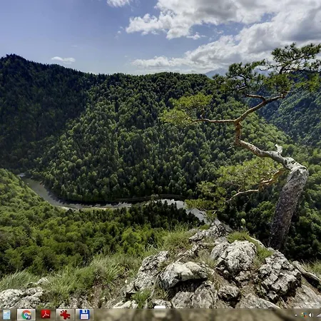 Rum i privatbostad Pieniny, Centrum Szczawnicy *