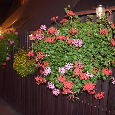 Pieniny Homestay *